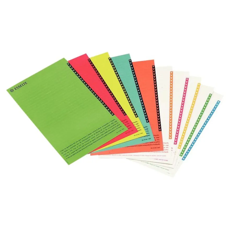 Esselte Orgarex - 10 Étiquettes pour dossiers suspendus armoires - coloris assortis