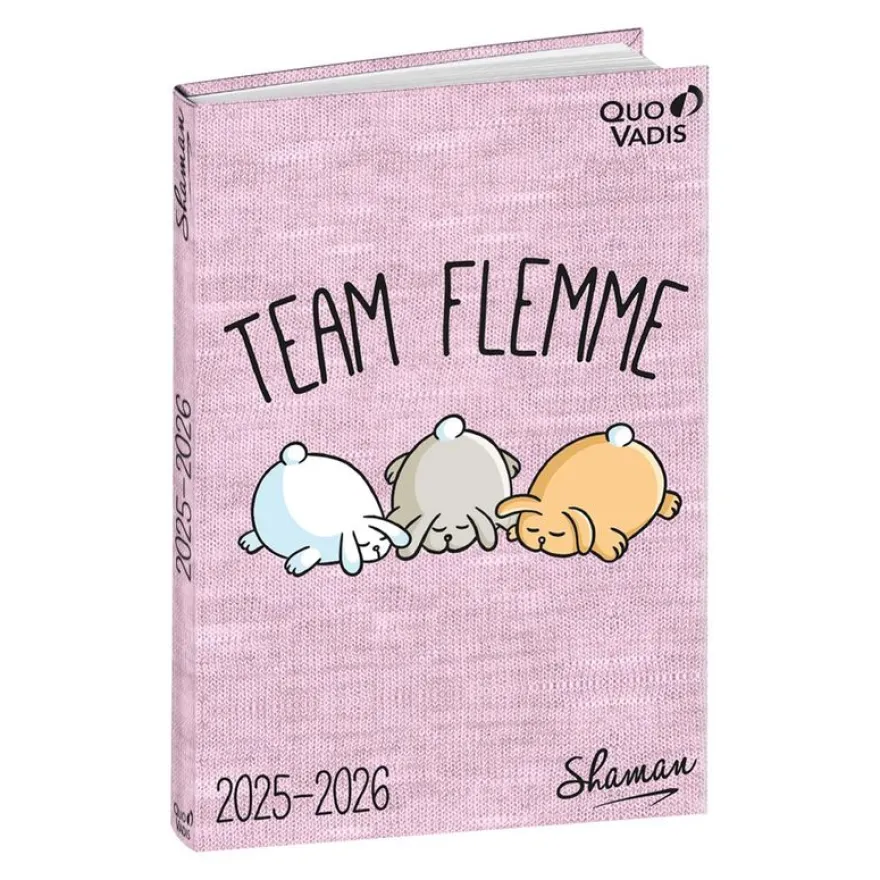 EUROTEXTAGENDA ML Shaman - Flemme - 12x17 cm - Journalier - 12 mois de août à juillet - Quo Vadis