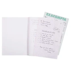 Exacompta - 10 Manifolds quadrillés 5x5 - 50 dupli - A5