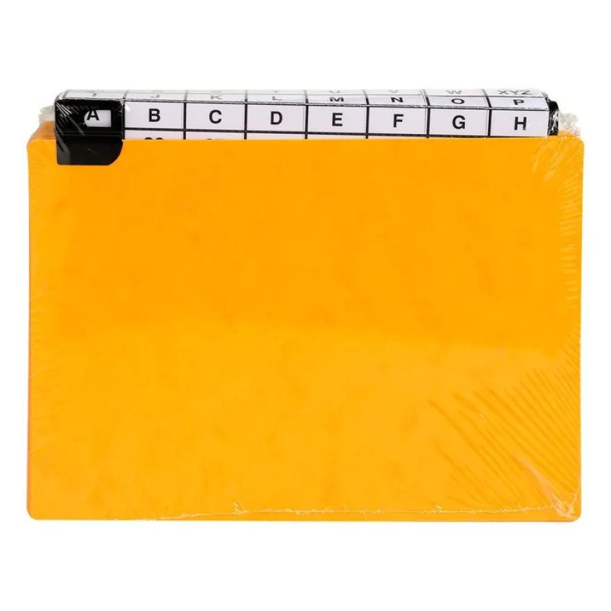 Exacompta - Intercalaires alphabétiques pour boîte à fiches - 24 positions A à Z