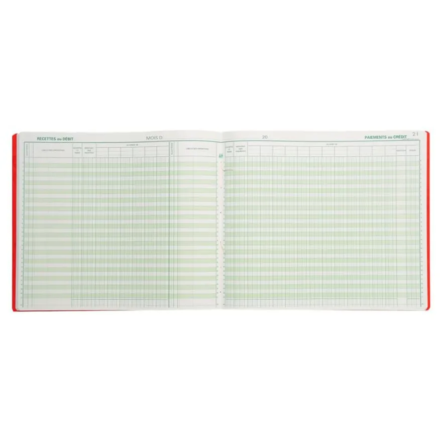 Exacompta - Journal de caisse ou banque - 19 colonnes : 13 débits/6 crédits - 27 x 32 cm horizontal