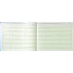 Exacompta - Journal de caisse ou banque - 17 débits/9 crédits - 29,7 x 38 cm - 80 pages
