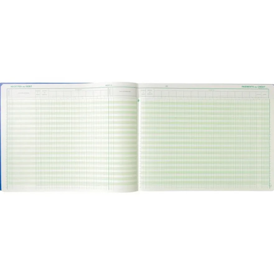 Exacompta - Journal de caisse ou banque - 17 débits/9 crédits - 29,7 x 38 cm - 80 pages
