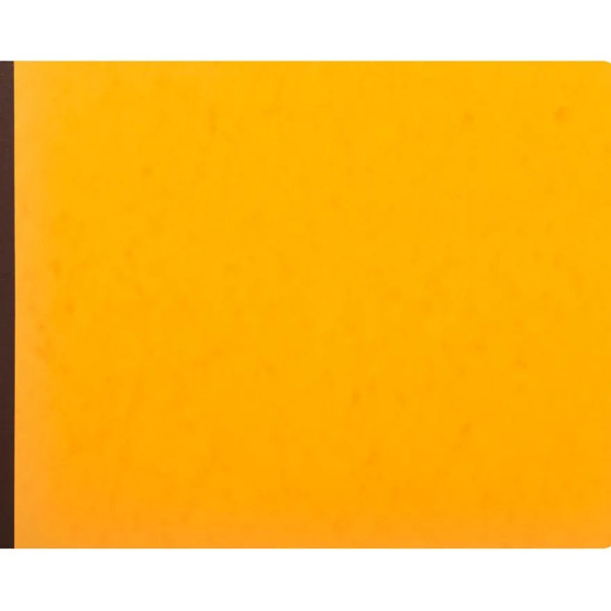 Exacompta - Journal de caisse ou banque - 17 débits/9 crédits - 29,7 x 38 cm - 80 pages