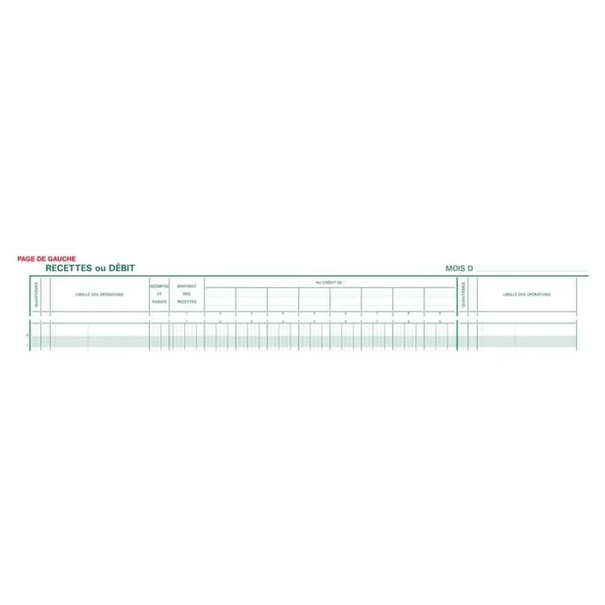 Exacompta - Journal de caisse ou banque - 17 débits/9 crédits - 29,7 x 38 cm - 80 pages