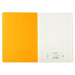Exacompta - Journal folioté 32 lignes - 80 pages - A4
