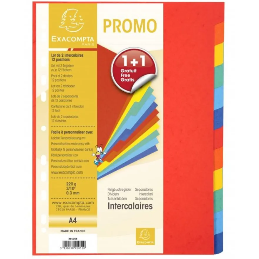 Exacompta - Lot de 2 intercalaires 12 positions - A4 - carte marbrée