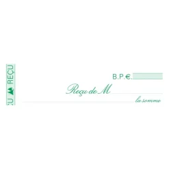 Exacompta - Manifold Carnet de reçus - 50 dupli - 11 x 18 cm