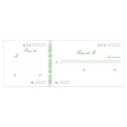 Exacompta - Manifold Carnet de reçus - 50 feuillets - 10,5 x 27 cm