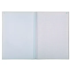 Exacompta - Manifold quadrillé 5x5 - 50 dupli - A4