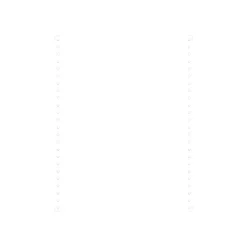 Exacompta - Papier listing blanc - 2000 feuilles 240 mm x 12" - bandes Caroll détachables - microperforations 4 côtés - 80gr