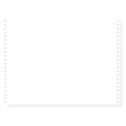 Exacompta - Papier listing blanc - 1000 feuilles 380 mm x 11" - bandes Caroll détachables - 2 plis
