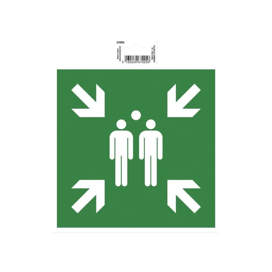 Exacompta - Pictogramme - point de rassemblement - 200 x 200 mm - vert