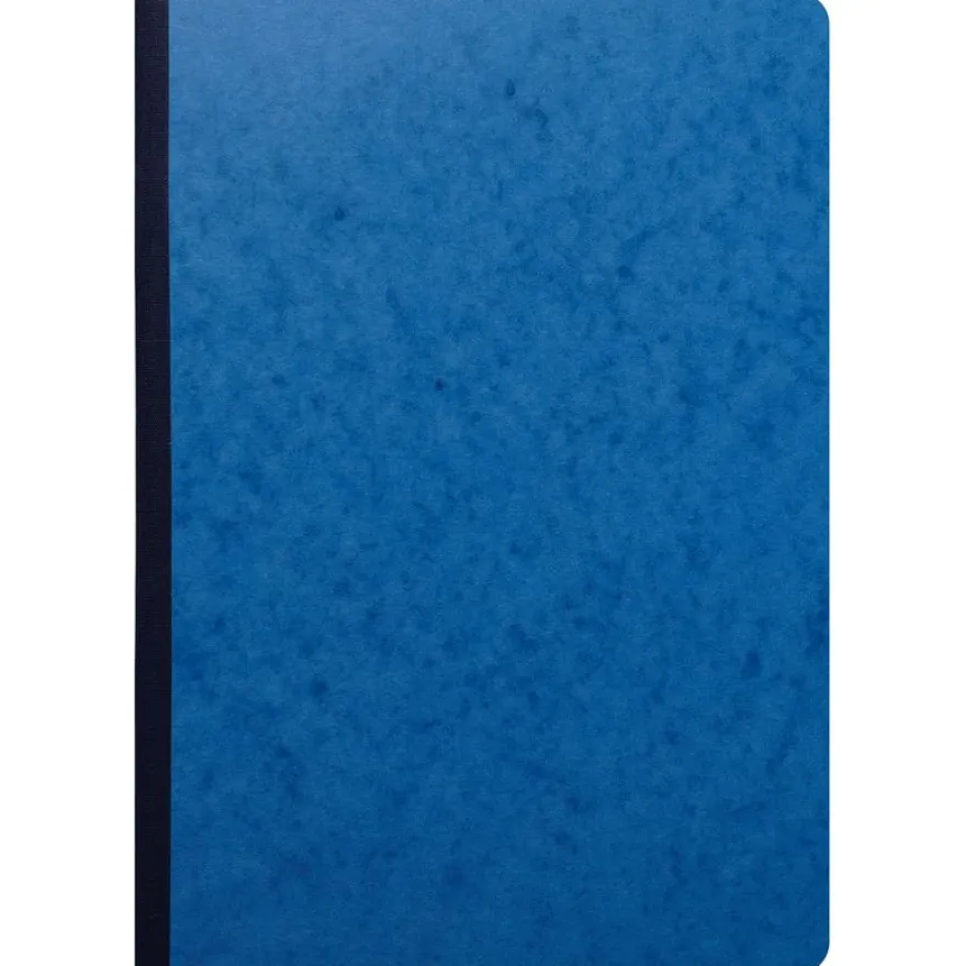 Exacompta - Piqûre à tête paresseuse - 5 colonnes sur 1 page - 29,7 x 21 cm - 80 pages