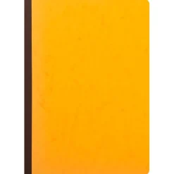 Exacompta - Piqûre à tête paresseuse - 5 colonnes sur 1 page - 29,7 x 21 cm - 80 pages