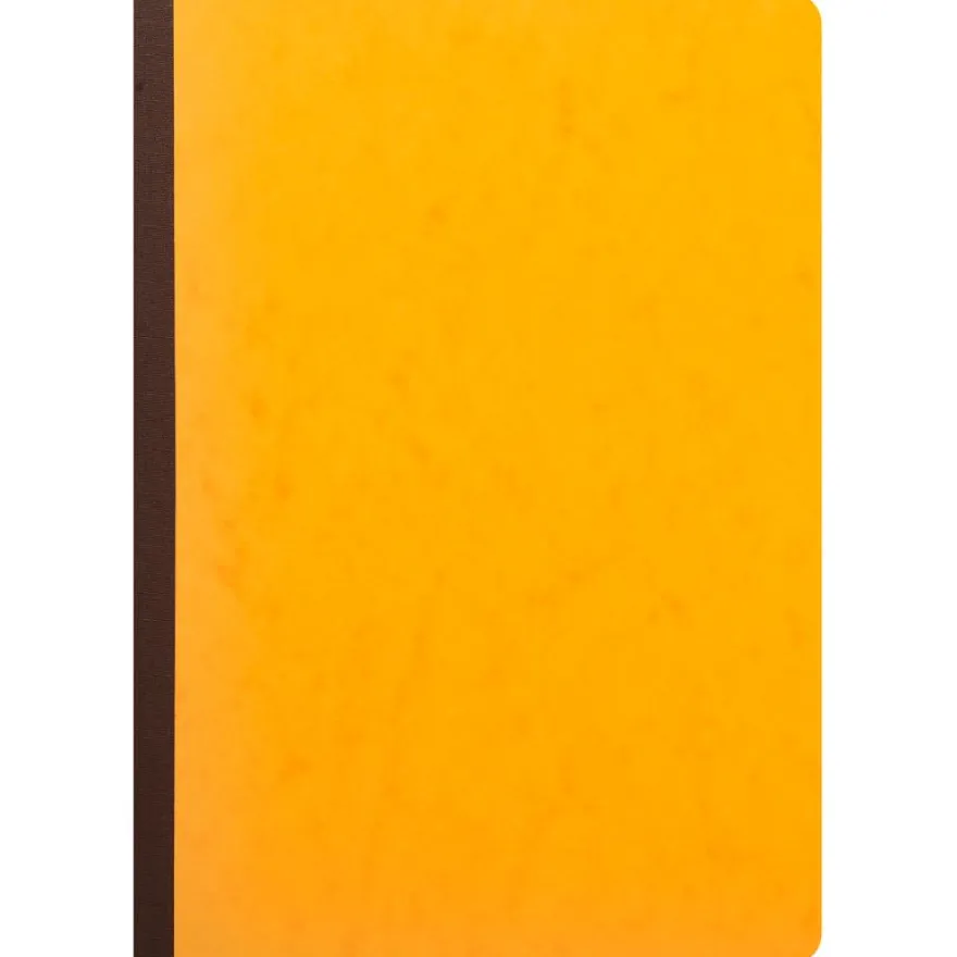 Exacompta - Piqûre à tête paresseuse - 5 colonnes sur 1 page - 29,7 x 21 cm - 80 pages