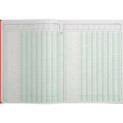 Exacompta - Piqûre à tête paresseuse - 8 colonnes sur 1 page - 32 x 25 cm - 80 pages