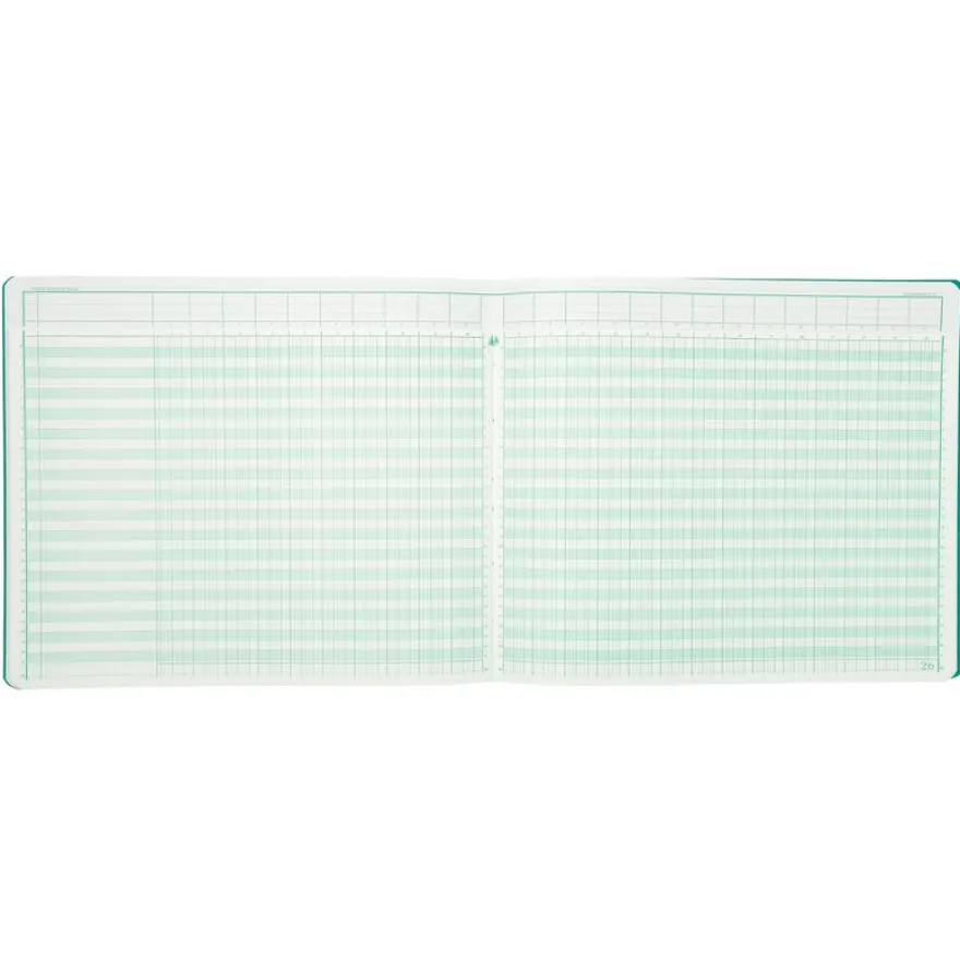 Exacompta - Piqûre à tête paresseuse - 24 colonnes sur 2 pages - 27 x 32 cm - 80 pages