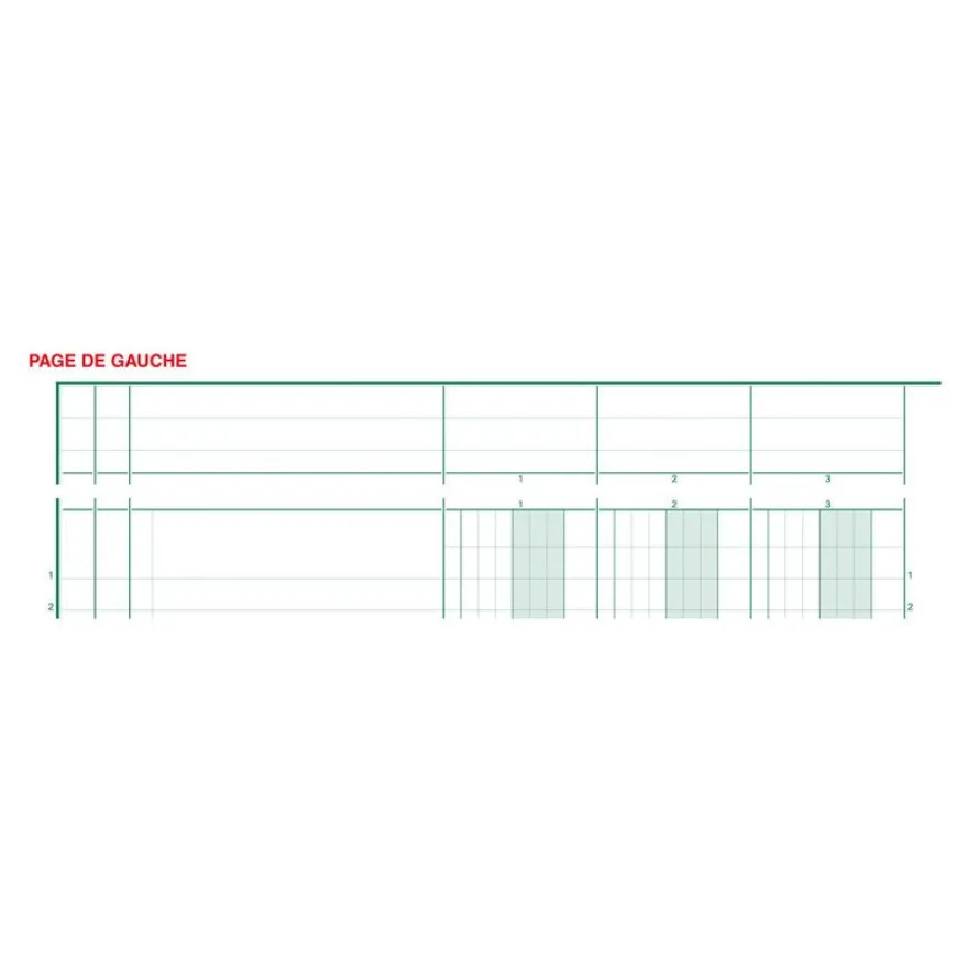 Exacompta - Piqûre à tête paresseuse - 8 colonnes sur 2 pages - 29,7 x 21 cm - 80 pages
