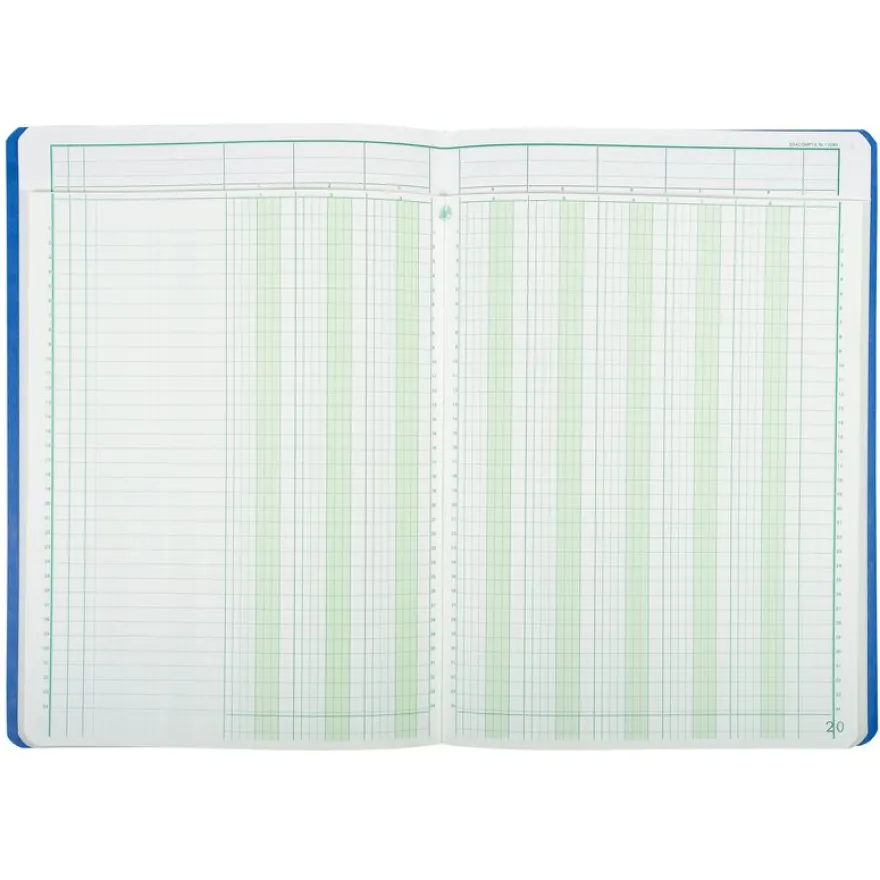 Exacompta - Piqûre à tête paresseuse - 8 colonnes sur 2 pages - 29,7 x 21 cm - 80 pages