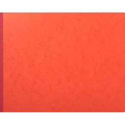 Exacompta - Piqûre à tête paresseuse - 32 colonnes sur 2 pages - 29,7 x 38 cm - 80 pages