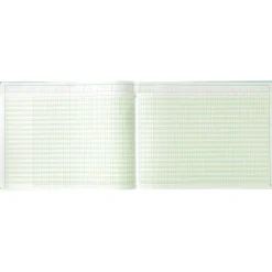 Exacompta - Piqûre à tête paresseuse - 32 colonnes sur 2 pages - 29,7 x 38 cm - 80 pages