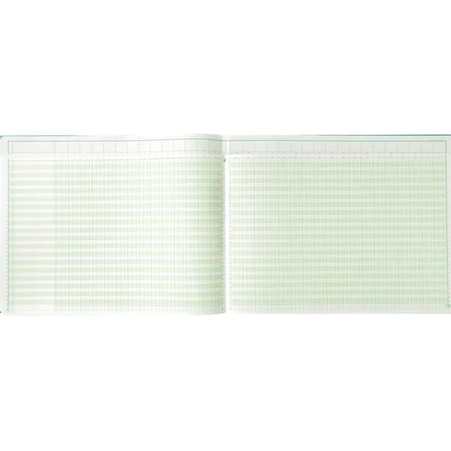 Exacompta - Piqûre à tête paresseuse - 32 colonnes sur 2 pages - 29,7 x 38 cm - 80 pages