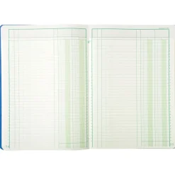 Exacompta - Piqûre à tête paresseuse - 2 colonnes sur 1 page - 29,7 x 21 cm - 80 pages