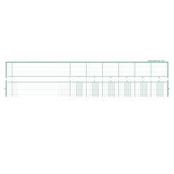 Exacompta - Piqûre à tête paresseuse - 6 colonnes sur 1 page - 32 x 25 cm - 80 pages
