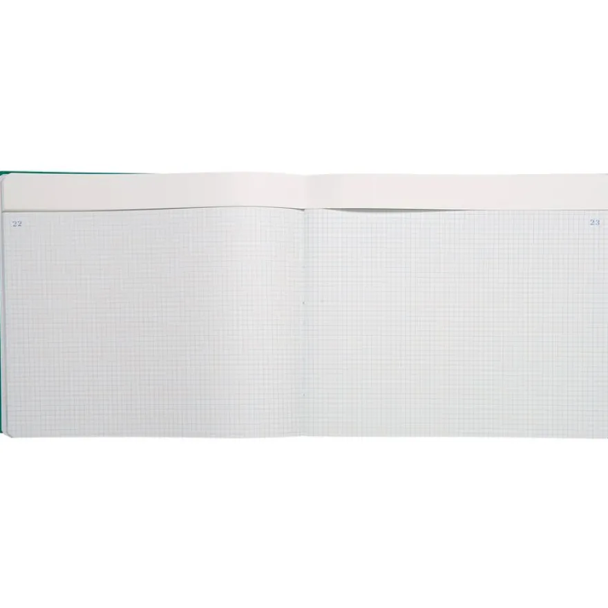 Exacompta - Piqûre à tête paresseuse 5x5 - 27 x 32 cm - 80 pages