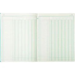Exacompta - Piqûre comptable - 7 colonnes par page - 32 x 25 cm - 80 pages