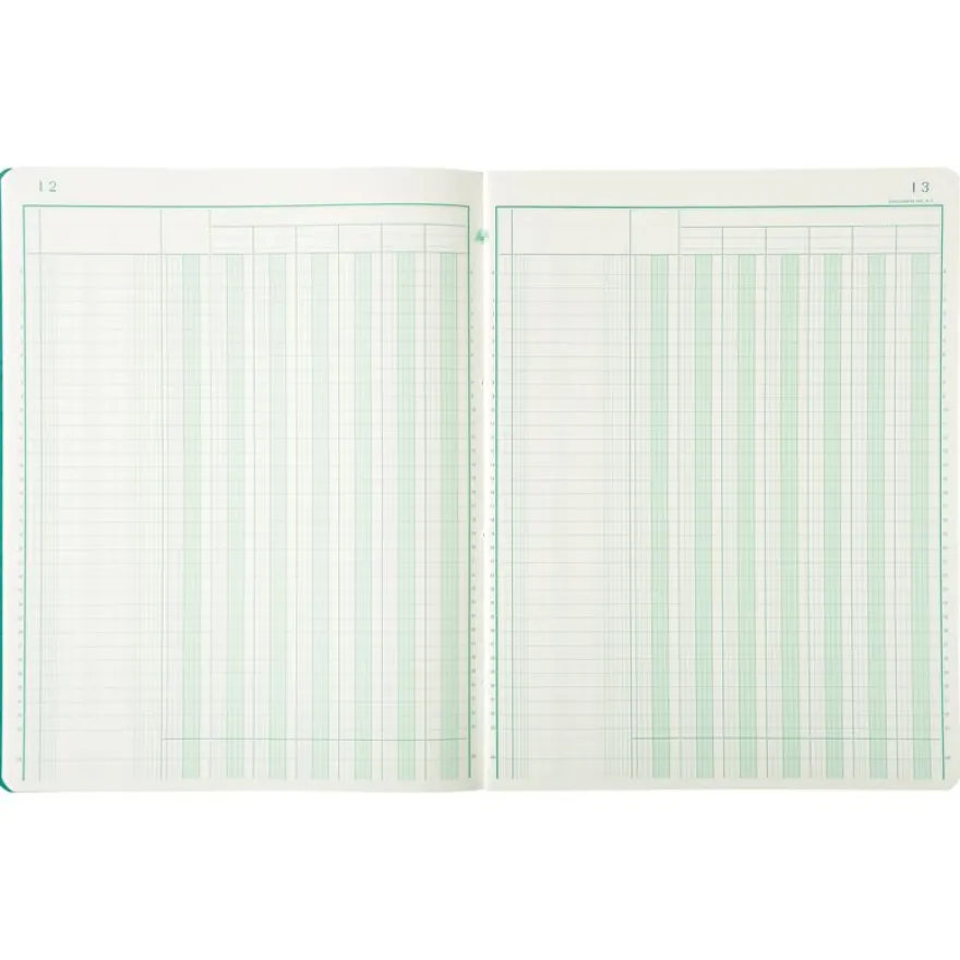 Exacompta - Piqûre comptable - 7 colonnes par page - 32 x 25 cm - 80 pages