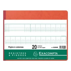 Exacompta - Piqûre comptable - 20 colonnes sur 2 pages - 25 x 32 cm - 80 pages