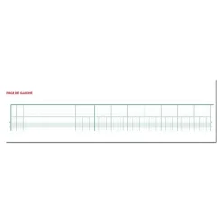 Exacompta - Piqûre comptable - 20 colonnes sur 2 pages - 25 x 32 cm - 80 pages