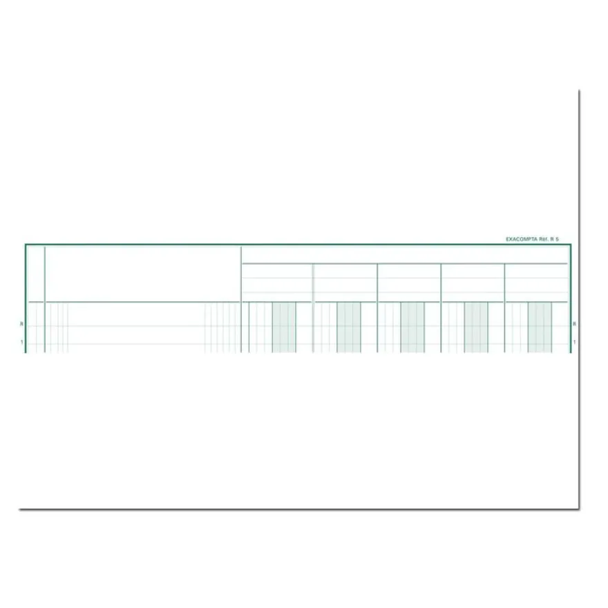 Exacompta - Piqûre comptable - 5 colonnes par page - 32 x 25 cm - 80 pages