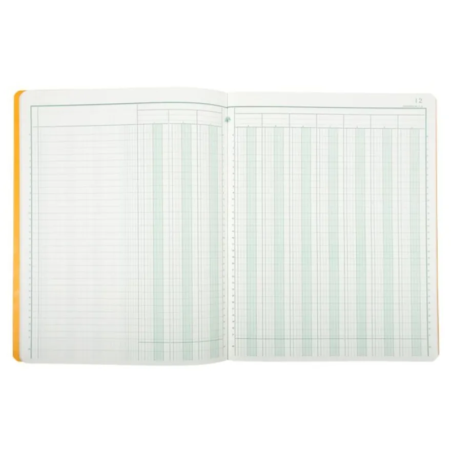 Exacompta - Piqûre comptable - 10 colonnes sur 2 pages - 32 x 25 cm - 80 pages
