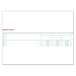 Exacompta - Piqûre comptable - 10 colonnes sur 2 pages - 32 x 25 cm - 80 pages