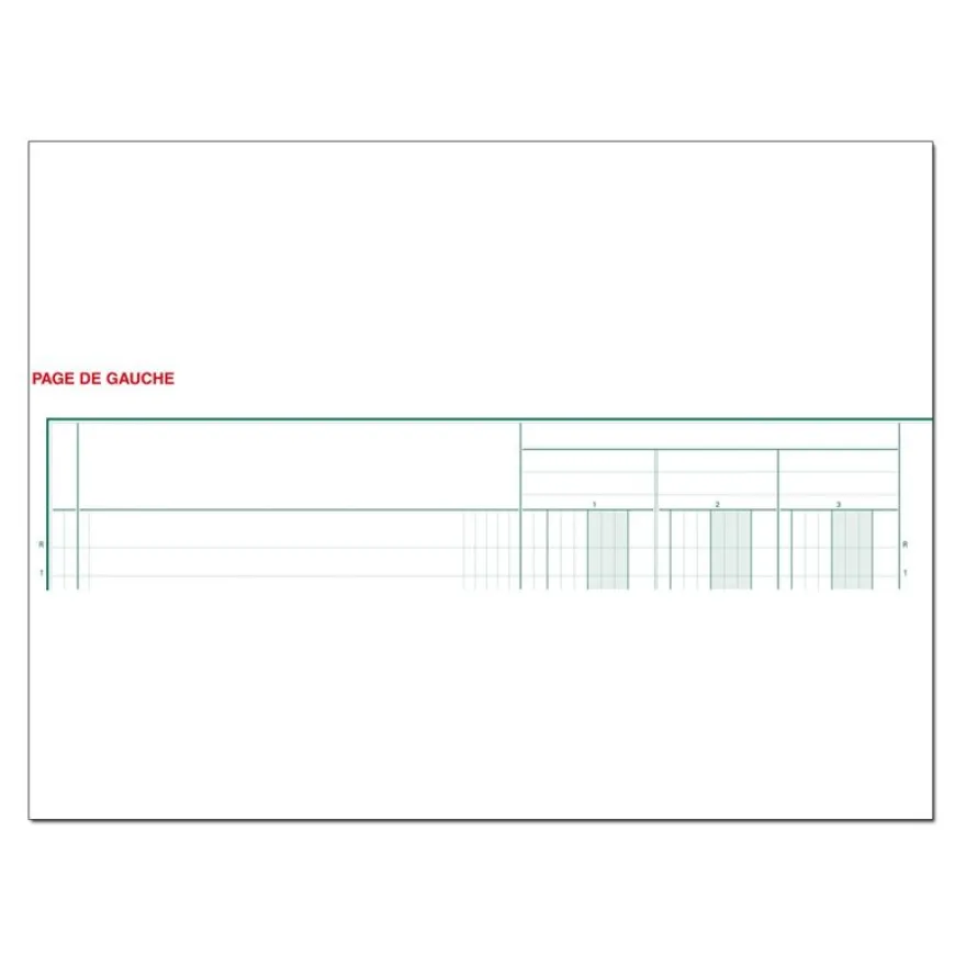 Exacompta - Piqûre comptable - 10 colonnes sur 2 pages - 32 x 25 cm - 80 pages