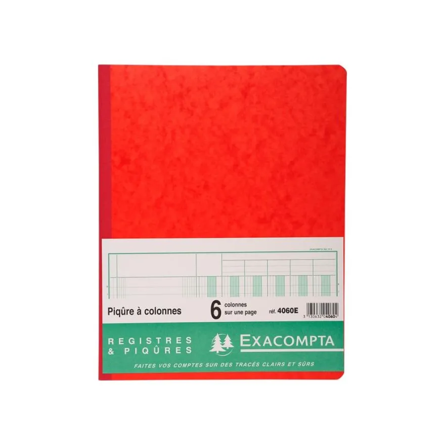 Exacompta - Piqûre comptable - 6 colonnes par page - 32 x 25 cm - 80 pages