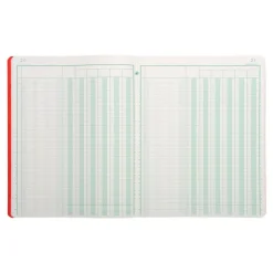 Exacompta - Piqûre comptable - 6 colonnes par page - 32 x 25 cm - 80 pages