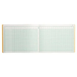 Exacompta - Piqûre comptable - 30 colonnes sur 2 pages - 25 x 32 cm - 80 pages