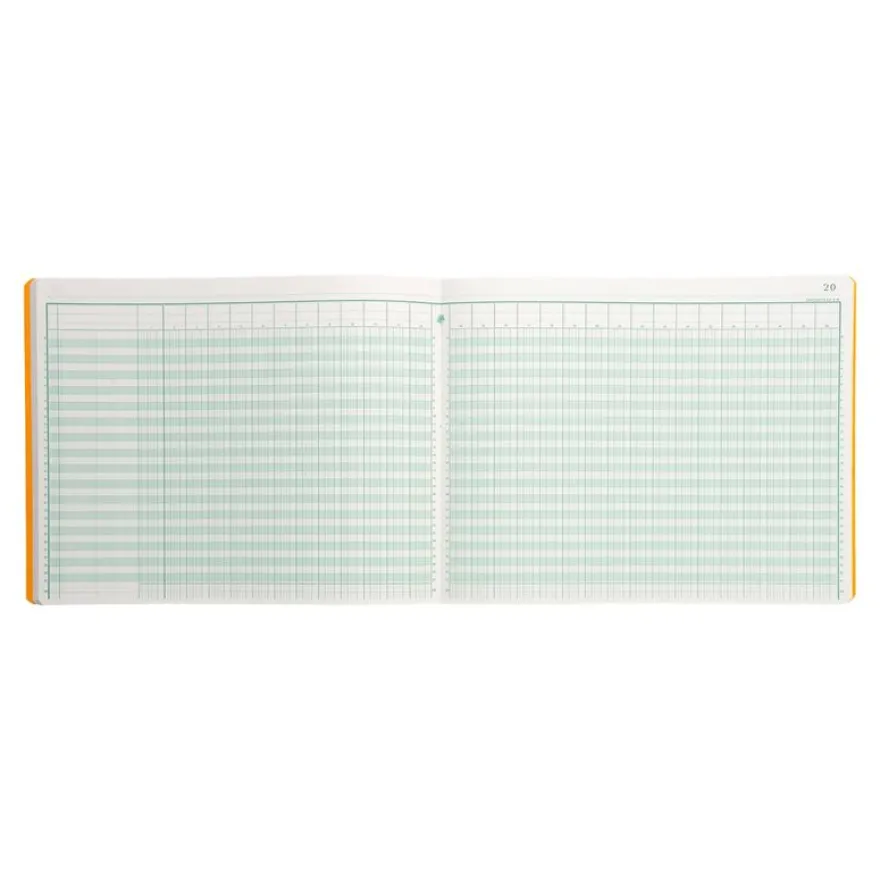 Exacompta - Piqûre comptable - 30 colonnes sur 2 pages - 25 x 32 cm - 80 pages