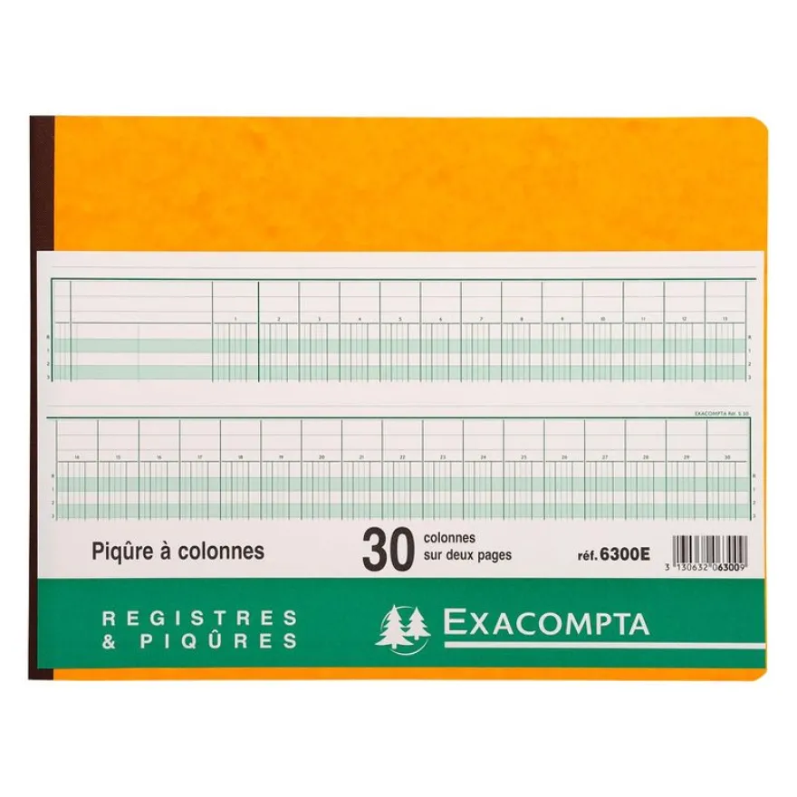 Exacompta - Piqûre comptable - 30 colonnes sur 2 pages - 25 x 32 cm - 80 pages