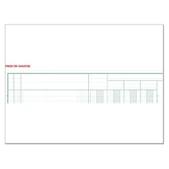 Exacompta - Piqûre comptable - 13 colonnes sur 2 pages - 32 x 25 cm - 80 pages