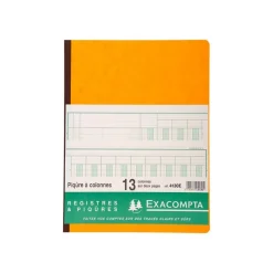 Exacompta - Piqûre comptable - 13 colonnes sur 2 pages - 32 x 25 cm - 80 pages