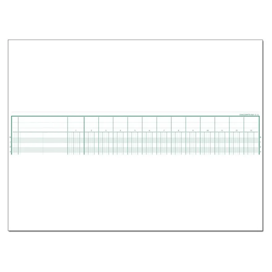 Exacompta - Piqûre comptable - 13 colonnes par page - 25 x 32 cm - 80 pages