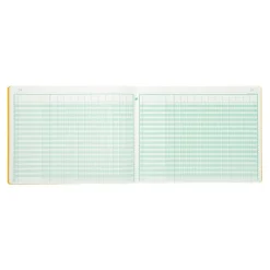 Exacompta - Piqûre comptable - 13 colonnes par page - 25 x 32 cm - 80 pages