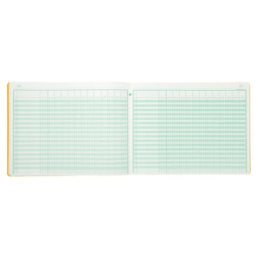 Exacompta - Piqûre comptable - 13 colonnes par page - 25 x 32 cm - 80 pages