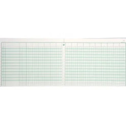 Exacompta - Piqûre comptable - 17 colonnes par page - 25 x 32 cm - 80 pages