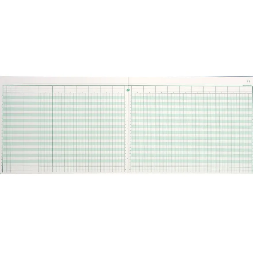 Exacompta - Piqûre comptable - 17 colonnes par page - 25 x 32 cm - 80 pages